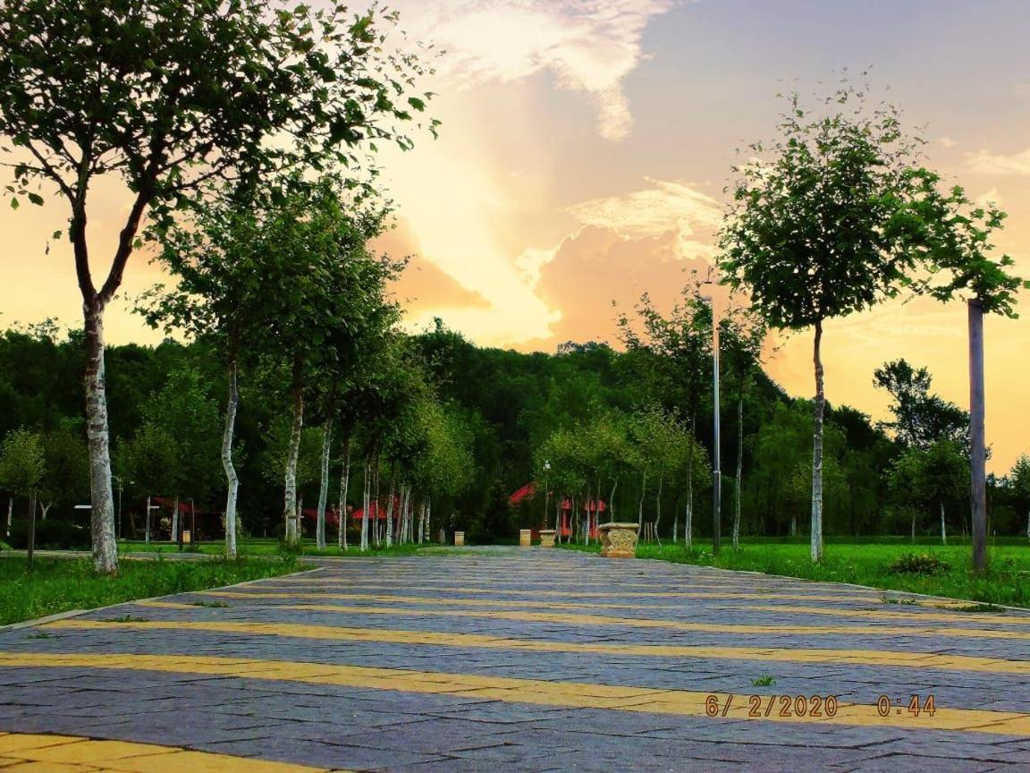 Illara Spa Hotel Irshava Zewnętrze zdjęcie