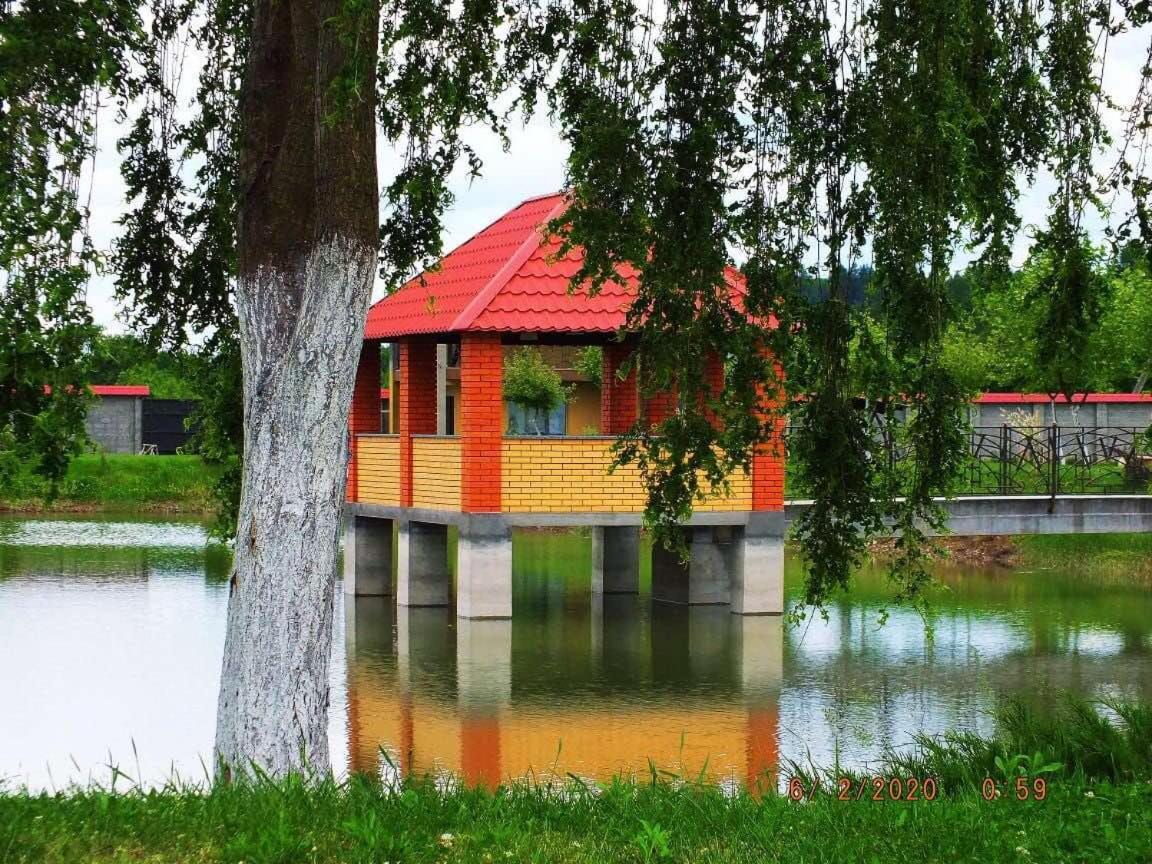 Illara Spa Hotel Irshava Zewnętrze zdjęcie