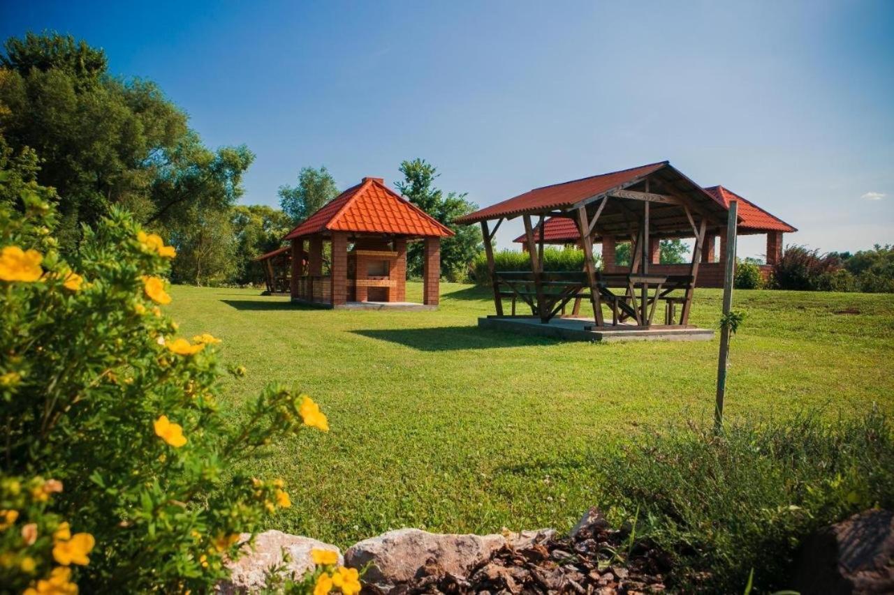Illara Spa Hotel Irshava Zewnętrze zdjęcie