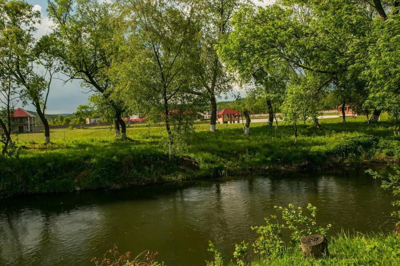 Illara Spa Hotel Irshava Zewnętrze zdjęcie