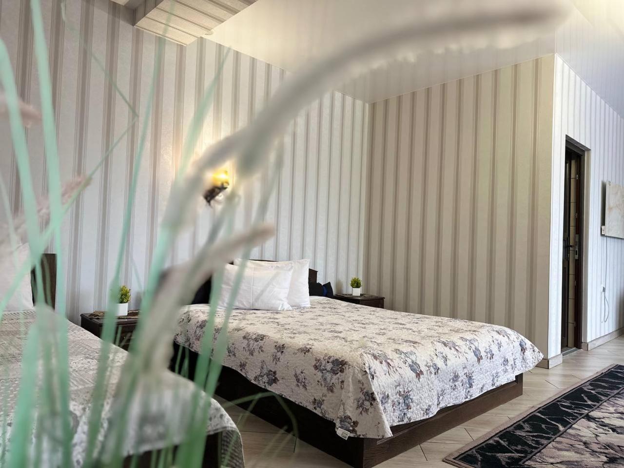 Illara Spa Hotel Irshava Zewnętrze zdjęcie