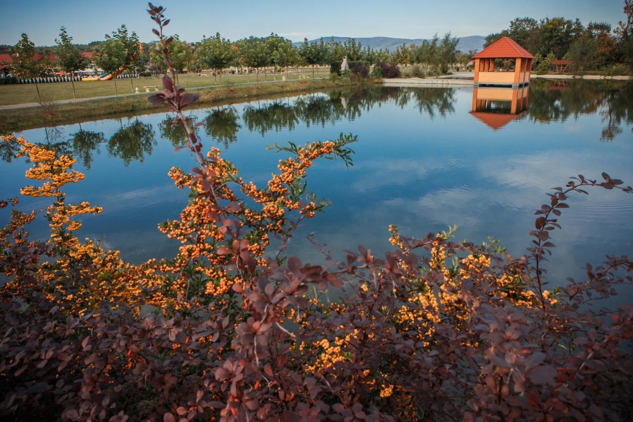 Illara Spa Hotel Irshava Zewnętrze zdjęcie