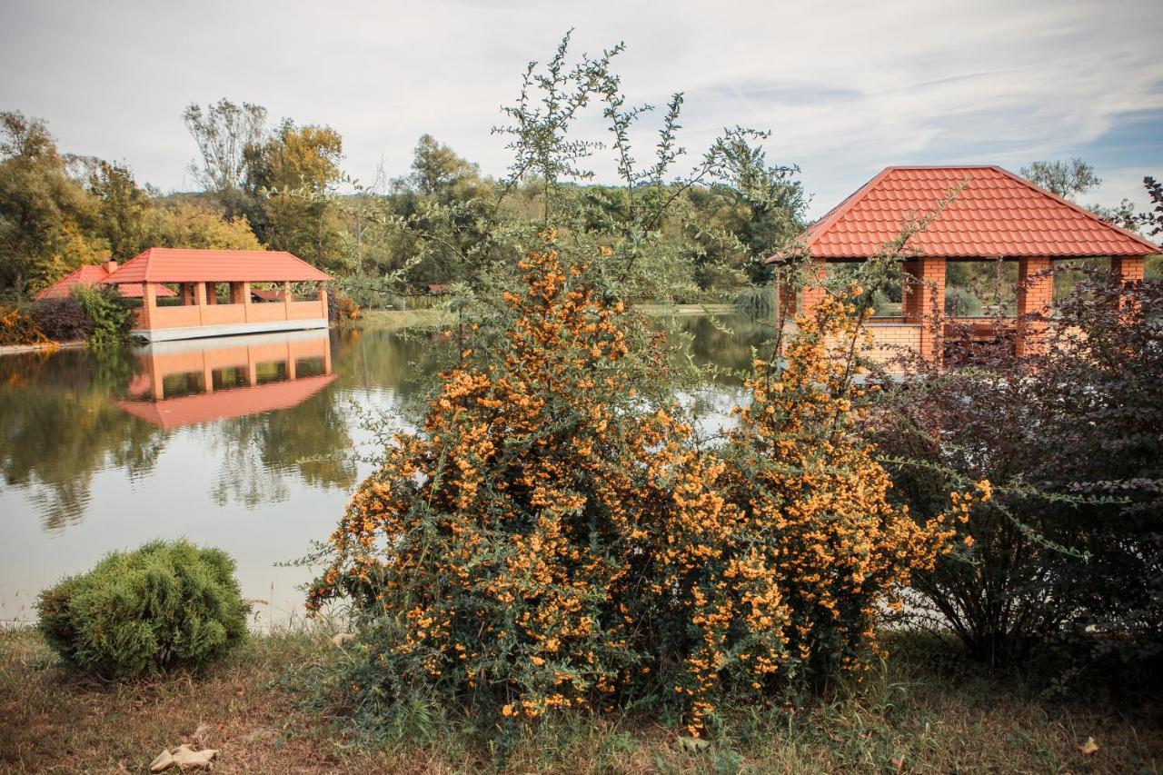 Illara Spa Hotel Irshava Zewnętrze zdjęcie