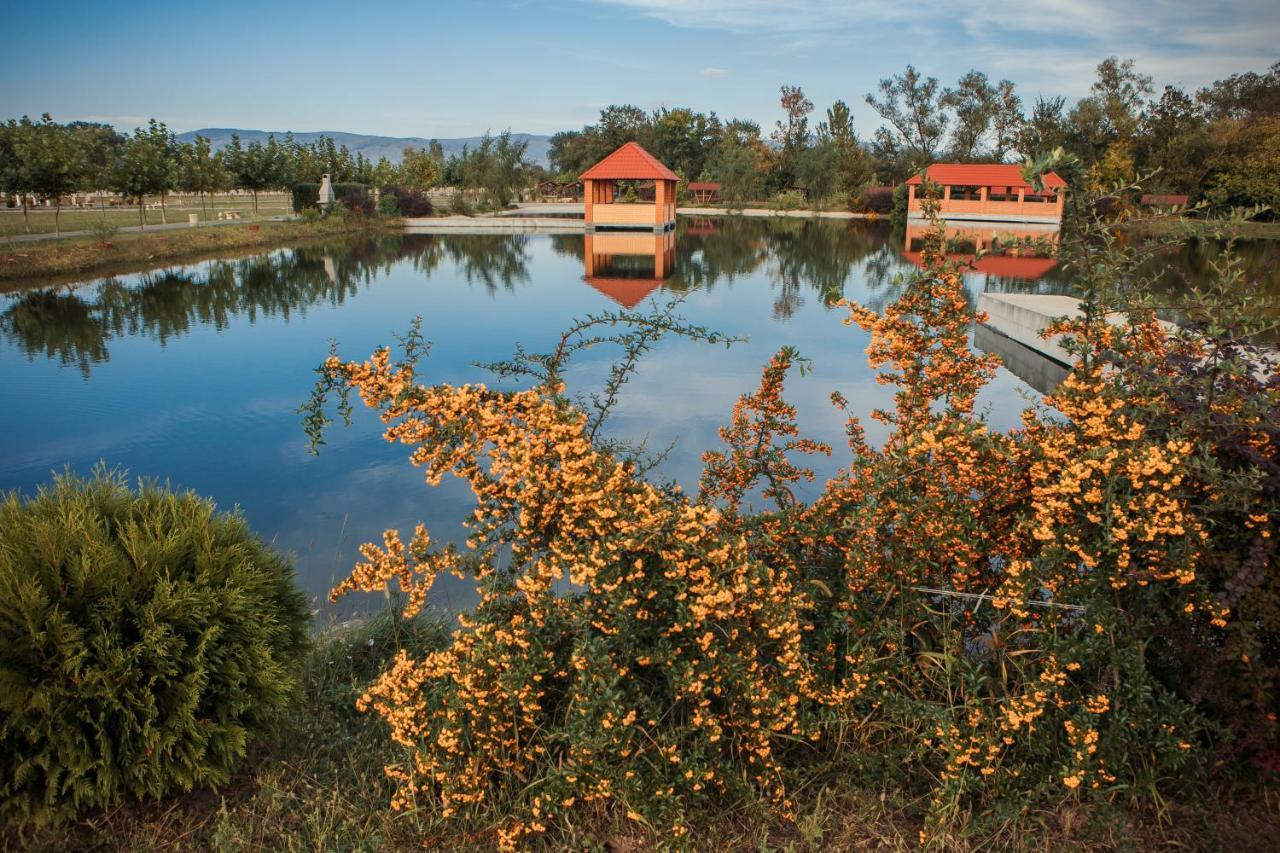 Illara Spa Hotel Irshava Zewnętrze zdjęcie
